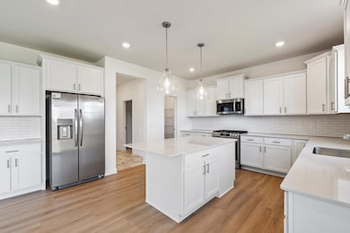 15072 Sycamore St NW, Andover, MN 55304 - photo 3