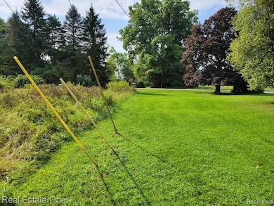 ABC Hemingway Lake, Otter Lake Vlg, MI 48464 - photo 5