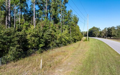 0 NW Lake Jeffery Rd unit 128900, Lake City, FL 32055 - photo 7