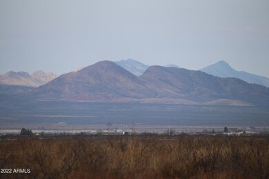IMG_040