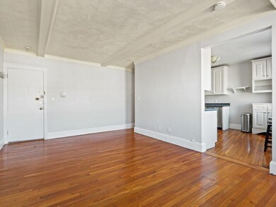 100 Lanark Rd unit 10, Brighton, MA 02135 - photo 4