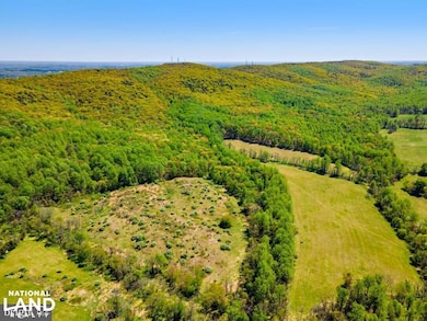 00 Bullrun Mountain Rd, The Plains, VA 20198 - photo 5