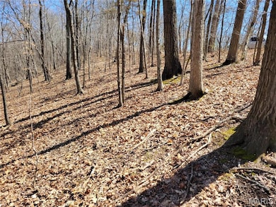 437 Big River View, Meramec Township, MO 63025 - photo 3