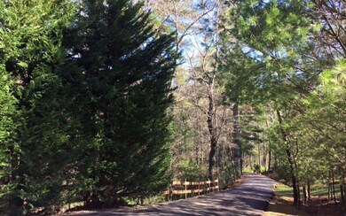 137 Lost Indian Trail, Suches, GA 30572 - photo 2