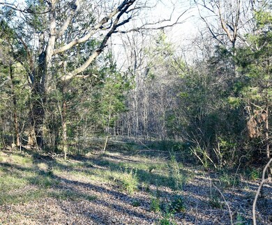 909 Benton St, Bonham, TX 75418 - photo 3