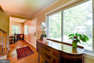 7106 14th Ave, Takoma Park, MD 20912 - photo 5