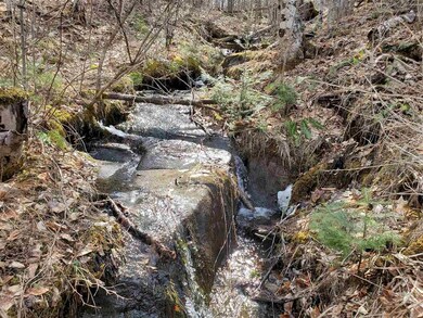 00 Warden Rd, Barnet, VT 05821 - photo 5