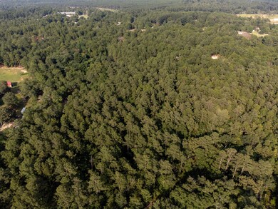 DJI_0395