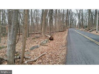 0 Swamp Creek Rd unit PABU503712, Pennsburg, PA 18073 - photo 4