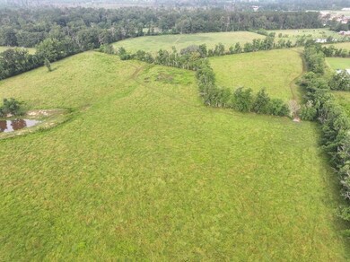 0 Hwy 16 unit LotWP001 24297163, Amite, LA 70422 - photo 5