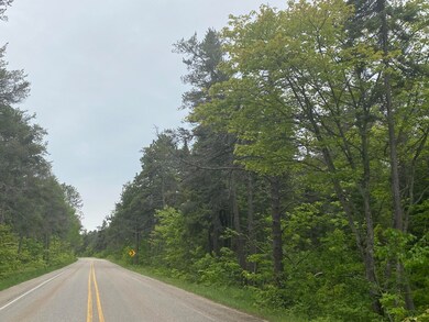 N Whitefish Point Road