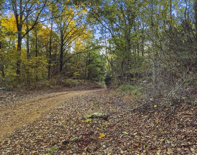 0 Highway 32, van Vleet, MS 38851 - photo 6