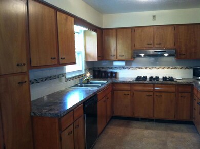 photo4