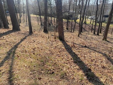 lot 3573A Coolwood Terrace, Hot Springs, AR 71913 - photo 5