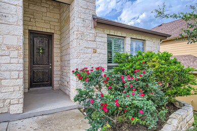 26211 Ponyfoot, San Antonio, TX 78261 - photo 2
