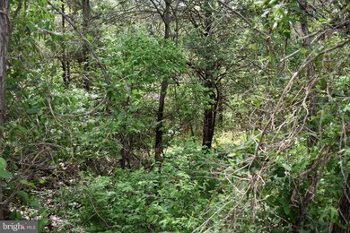 0 Maple Ridge unit MDWA179556, Hancock, MD 21750 - photo 4