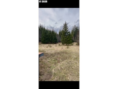 59370 NW Broad Way, Timber, OR 97144 - photo 3