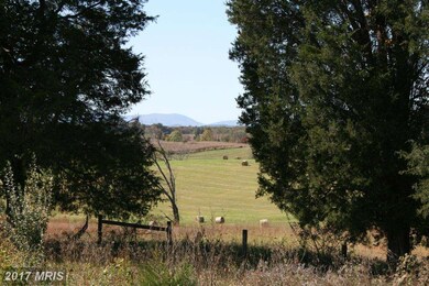 16 Ashbourne Ln, Rixeyville, VA 22737 - photo 5