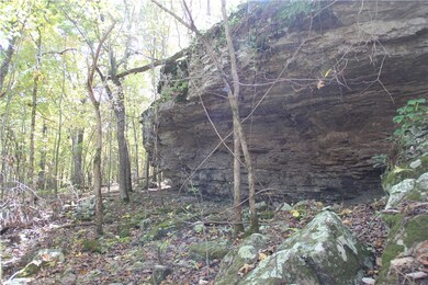 0 Cr 935 unit 1329173, Berryville, AR 72616 - photo 6