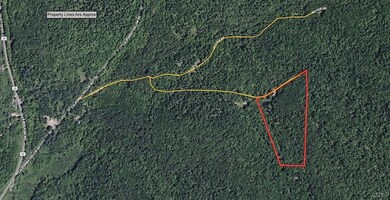 936 California Hollow Rd, Bolivar, NY 14715 - photo 3