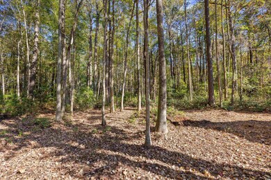 3021 Moss Bridge Ln, Myrtle Beach, SC 29579 - photo 5