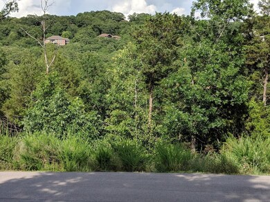 Lot 69 Summer Rd, Ruth B Rural Township, MO 65686 - photo 2