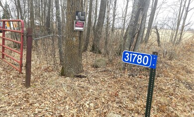 31780 170th St, Isle, MN 56342 - photo 3