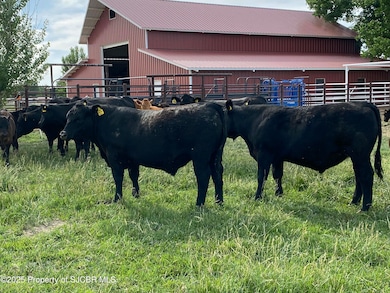 918 Road 4990, Bloomfield, NM 87413 - photo 2
