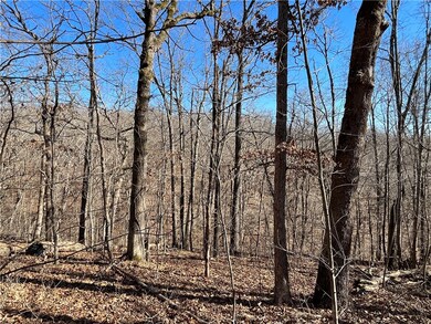 1 Ulverston Dr, Bella Vista, AR 72714 - photo 3