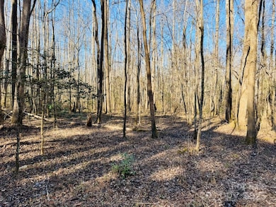 24 ac S Carolina 9, Wallace, SC 29596 - photo 3