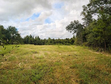 0 Grimsley Rd, Gordon, AL 36343 - photo 7