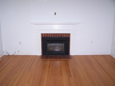 Living Room Fireplace