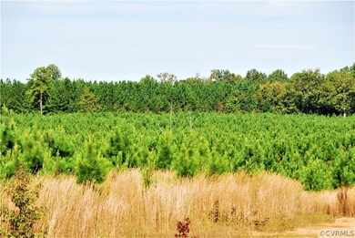 6801 (not Assigned) Grand Brooks Rd, Livingston, VA 22551 - photo 6