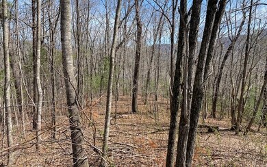 Additional View
