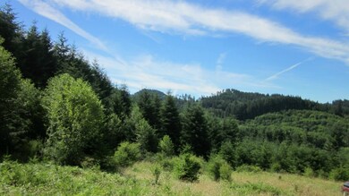 1892 King Rd, Winlock, WA 98596 - photo 4