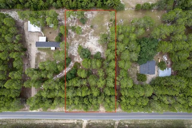 0 Sea Meadows Dr, Perry, FL 32348 - photo 7