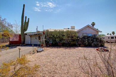 0004-saguaro (3)
