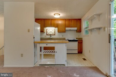 3060 Railroad Vine Ct, Fairfax, VA 22031 - photo 7