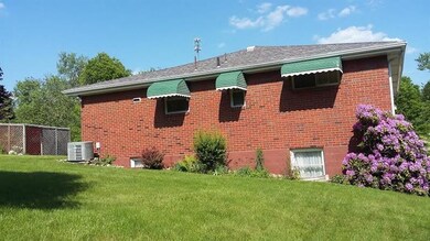 Rear of house. Lush back yard!