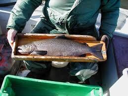 Lot 2 Kansas Rd, Bridgton, ME 04009 - photo 7