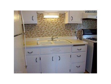 Ceramic backslash in Kitchen, Hood is vented outsi
