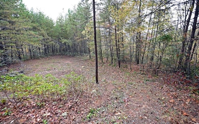 TBD Mclean Rd, Andrews, NC 28901 - photo 4