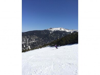 402 Profile Rd, Bethlehem, NH 03574 - photo 2