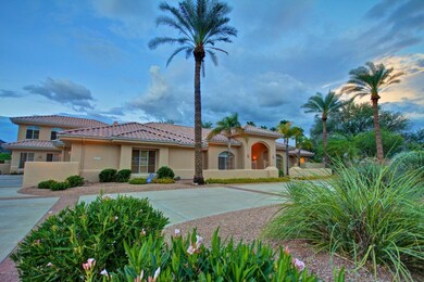 Sunset Drive elc export 6