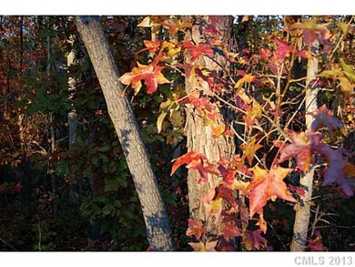 Land/Lot