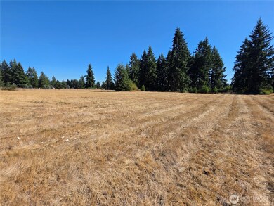11305 Bald Hill Rd SE, Yelm, WA 98597 - photo 6