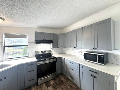 667 Driver Ln, Plant City, FL 33565 - photo 7