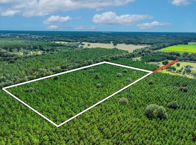 000 NW 78th Ave, Newberry, FL 32669 - photo 7