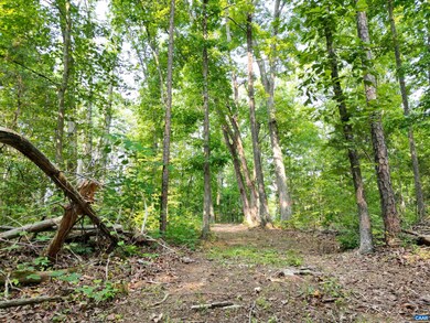 0 Jefferson Mill Rd unit 642483, Scottsville, VA 24590 - photo 3