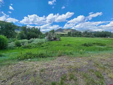 30081 W Hwy 160, South Fork, CO 81154 - photo 4